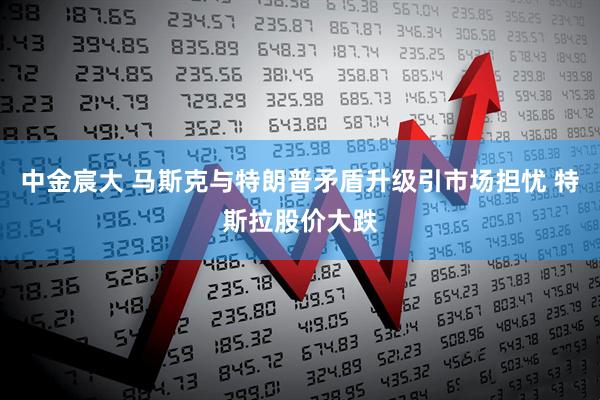 中金宸大 马斯克与特朗普矛盾升级引市场担忧 特斯拉股价大跌